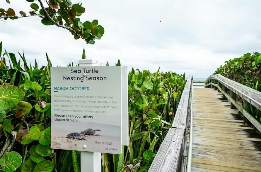 Dog Friendly Condo With Beach Access, Hot Tub, Firepit West Palm Beach Exteriör bild
